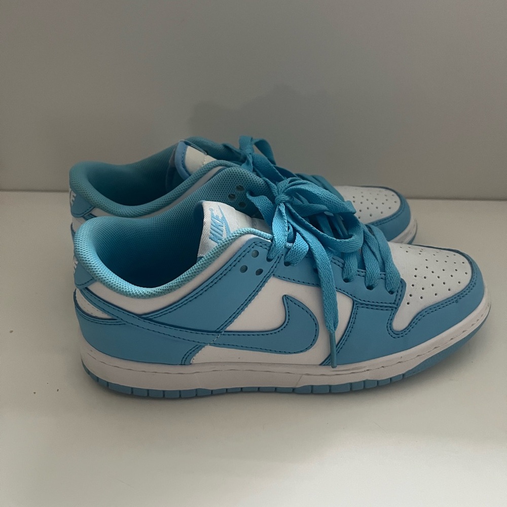 blue nike dunks!